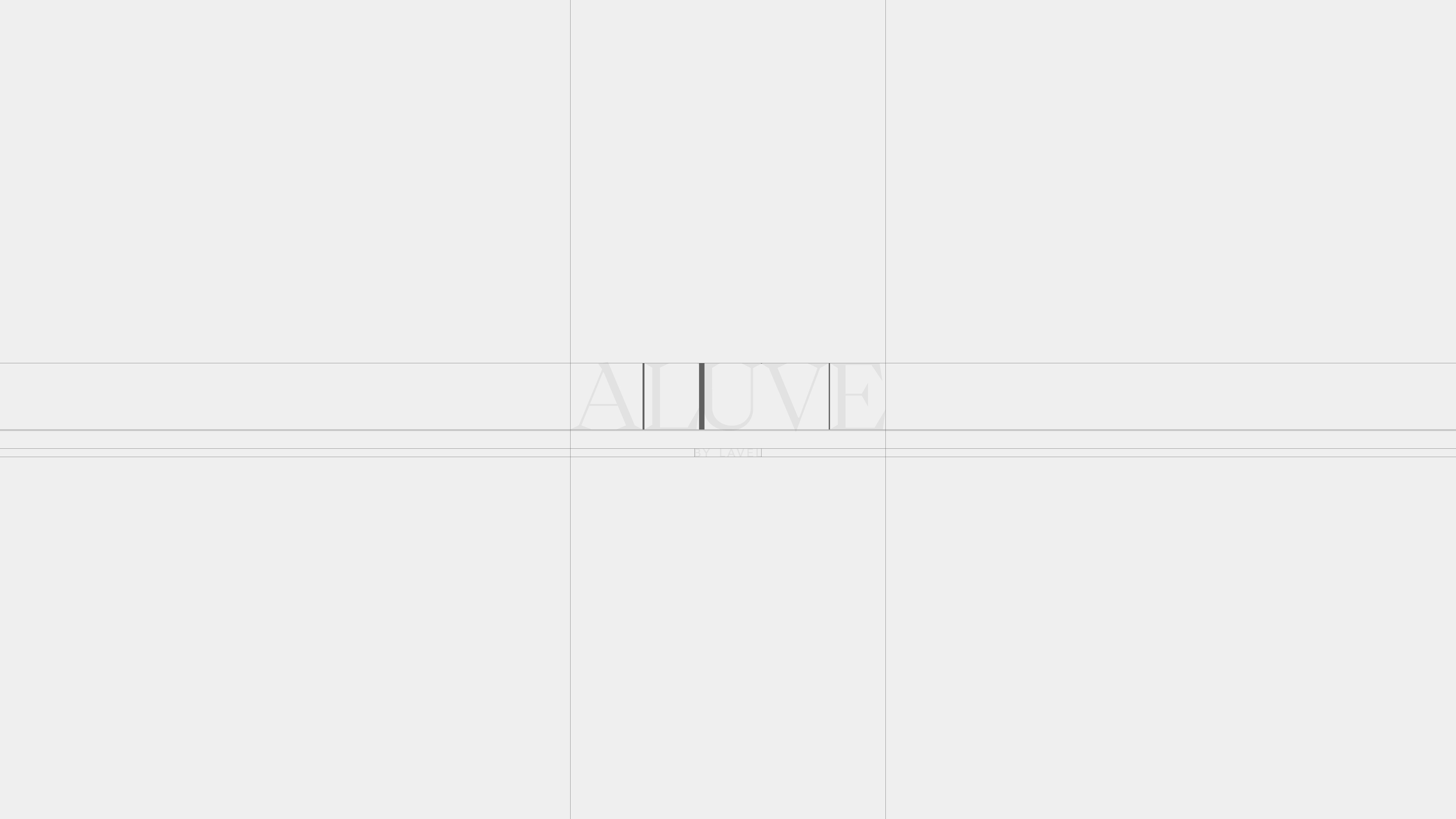 ALU_GUIDELINES_P007.jpg